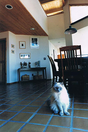 Crystal Heights Artist's Studio